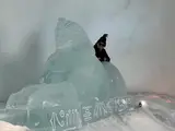Patrick in the Arctic Circle
